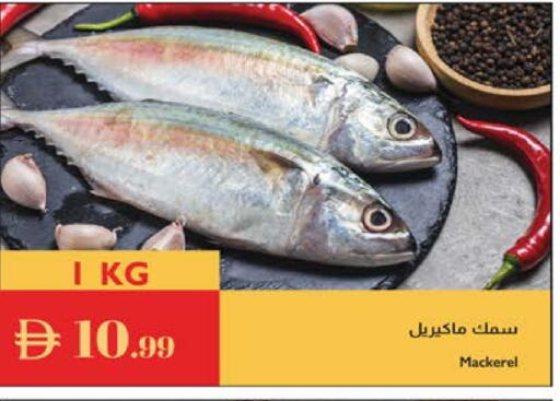 available at Istanbul Supermarket in UAE - Abu Dhabi