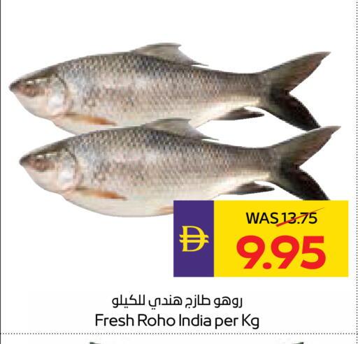 available at ADCOOP in UAE - Abu Dhabi