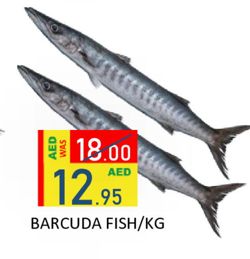 available at ROYAL GULF HYPERMARKET LLC in UAE - Abu Dhabi