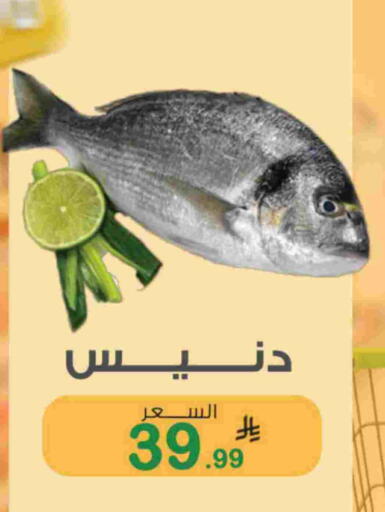 available at أسواق الرشيد in مملكة العربية السعودية, السعودية, سعودية - الرياض