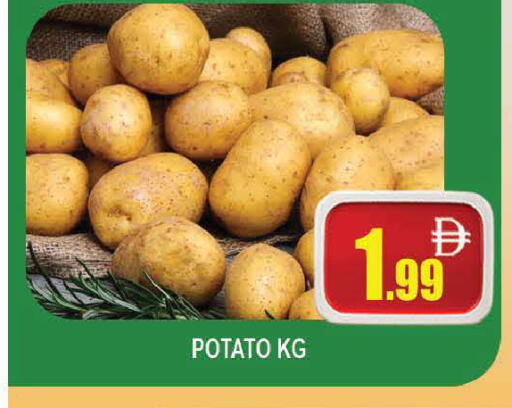 Potato available at AL MADINA (Dubai) in UAE - Dubai