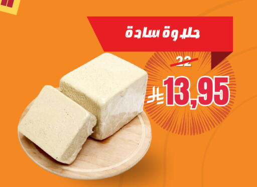 available at Economic Family in KSA, Saudi Arabia, Saudi - Yanbu