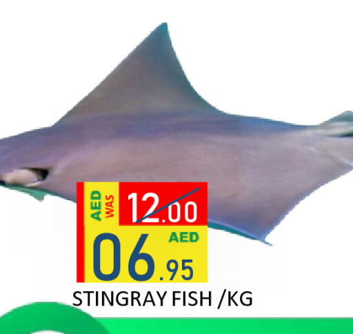 available at ROYAL GULF HYPERMARKET LLC in UAE - Abu Dhabi