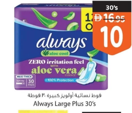 available at Safeer Market in UAE - Dubai