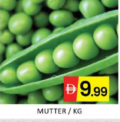 Mango available at Mango Hypermarket LLC in UAE - Dubai
