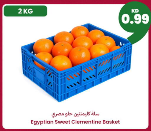 from Egypt available at توصيل  in الكويت - محافظة الأحمدي