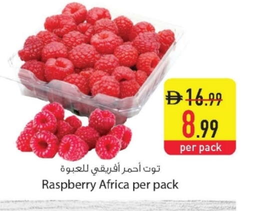 Raspberry available at Safeer Market in UAE - Dubai