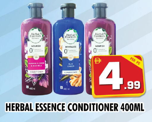 Ginger available at NIGHT TO NIGHT DEPARTMENT STORE in UAE - Sharjah / Ajman