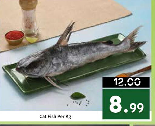 available at ROYAL GULF HYPERMARKET LLC in UAE - Abu Dhabi