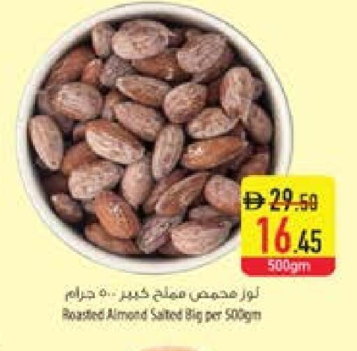 available at السفير ماركت in الإمارات العربية المتحدة , الامارات - أبو ظبي