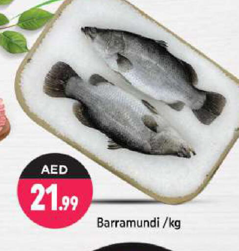 available at شكلان ماركت in الإمارات العربية المتحدة , الامارات - دبي