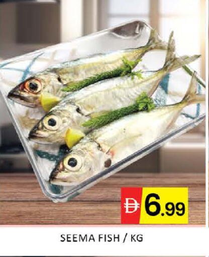 Mango available at مانجو هايبرماركت in الإمارات العربية المتحدة , الامارات - دبي