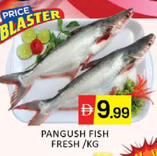 Mango available at مانجو هايبرماركت in الإمارات العربية المتحدة , الامارات - دبي