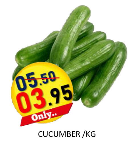 Cucumber available at ROYAL GULF HYPERMARKET LLC in UAE - Abu Dhabi