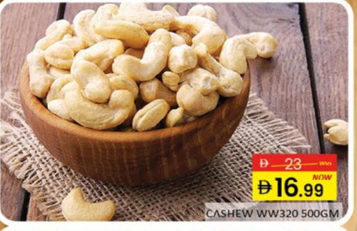 Mango available at مانجو هايبرماركت in الإمارات العربية المتحدة , الامارات - دبي