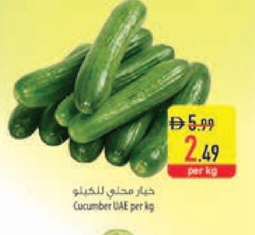Cucumber available at Safeer Market in UAE - Umm al Quwain