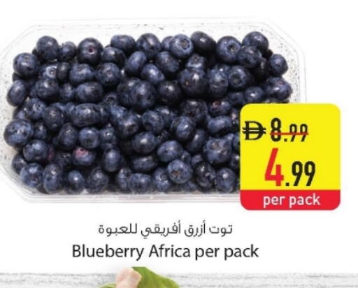 Blueberry BlueBerry available at Safeer Market in UAE - Dubai
