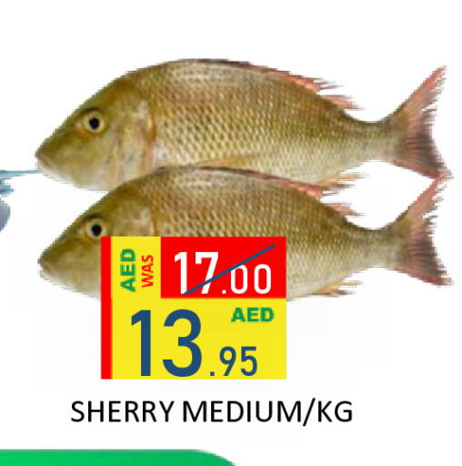 available at ROYAL GULF HYPERMARKET LLC in UAE - Abu Dhabi