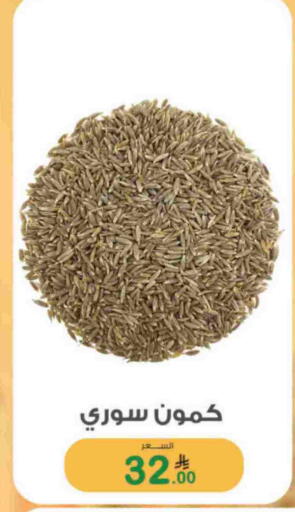 available at أسواق الرشيد in مملكة العربية السعودية, السعودية, سعودية - الرياض