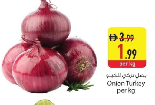 Onion from Turkey available at Safeer Market in UAE - Dubai
