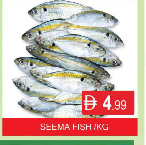 available at المدينة in الإمارات العربية المتحدة , الامارات - دبي