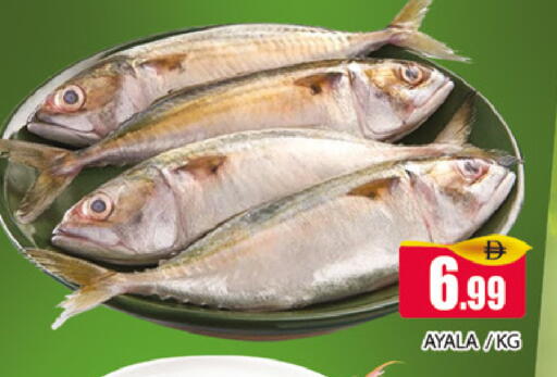 available at المدينة in الإمارات العربية المتحدة , الامارات - دبي