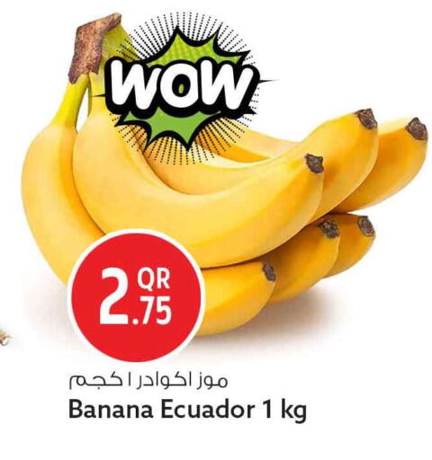 Banana from Ecuador available at سفاري هايبر ماركت in قطر - الدوحة