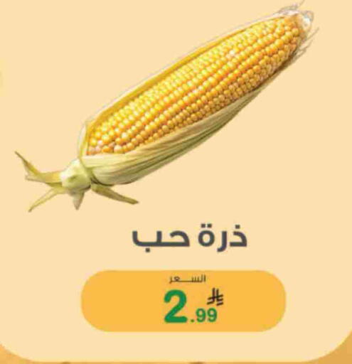 available at Al Rasheed Markets in KSA, Saudi Arabia, Saudi - Riyadh