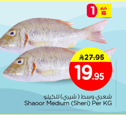 available at Nesto in KSA, Saudi Arabia, Saudi - Al Khobar