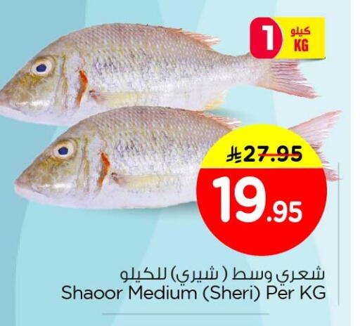 available at نستو in مملكة العربية السعودية, السعودية, سعودية - الأحساء‎