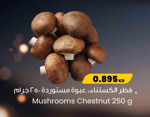 available at The Sultan Center in Kuwait - Jahra Governorate