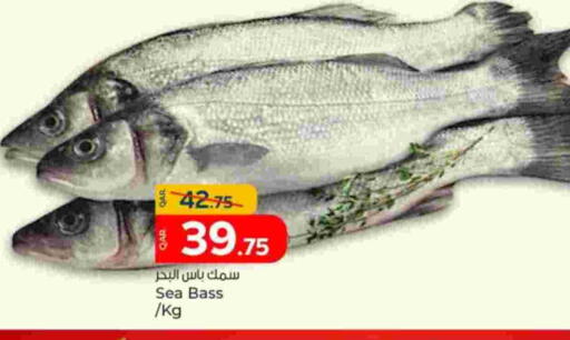 available at باريس هايبرماركت in قطر - الوكرة