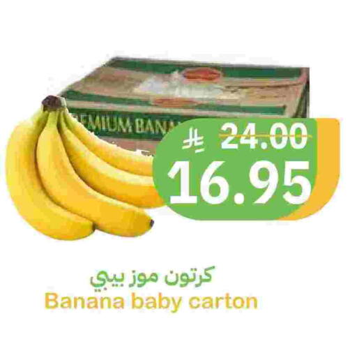 Banana available at Qateba Markets in KSA, Saudi Arabia, Saudi - Buraidah