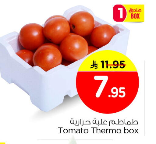 Tomato available at نستو in مملكة العربية السعودية, السعودية, سعودية - الخبر‎
