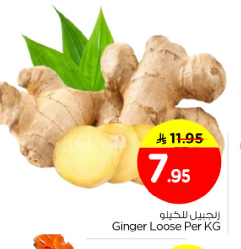 Ginger available at نستو in مملكة العربية السعودية, السعودية, سعودية - الرياض