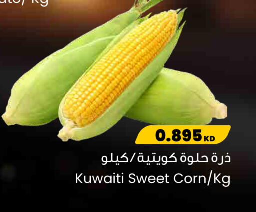 from Kuwait available at مركز سلطان in الكويت - محافظة الأحمدي