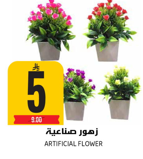 available at جراند هايبر in مملكة العربية السعودية, السعودية, سعودية - الرياض