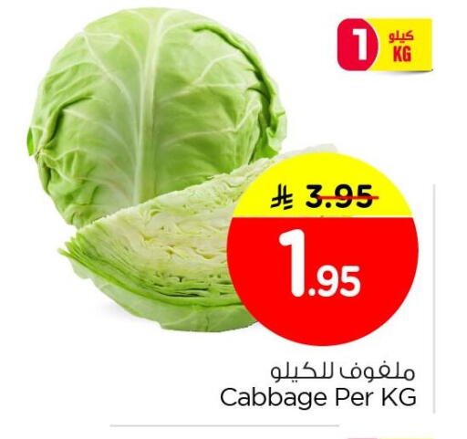 Cabbage available at Nesto in KSA, Saudi Arabia, Saudi - Al Hasa