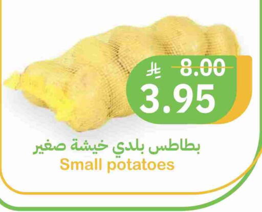 available at أسواق قاطبة in مملكة العربية السعودية, السعودية, سعودية - بريدة