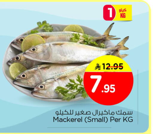 available at Nesto in KSA, Saudi Arabia, Saudi - Al Khobar