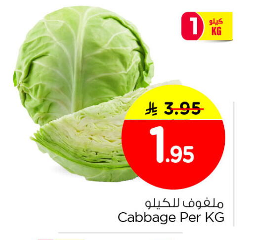 Cabbage available at نستو in مملكة العربية السعودية, السعودية, سعودية - الخبر‎