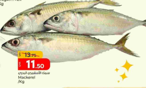 available at باريس هايبرماركت in قطر - الوكرة