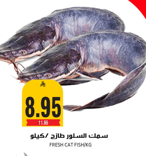 available at Grand Hyper in KSA, Saudi Arabia, Saudi - Riyadh