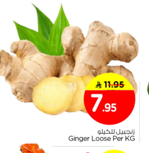 Ginger available at نستو in مملكة العربية السعودية, السعودية, سعودية - المجمعة