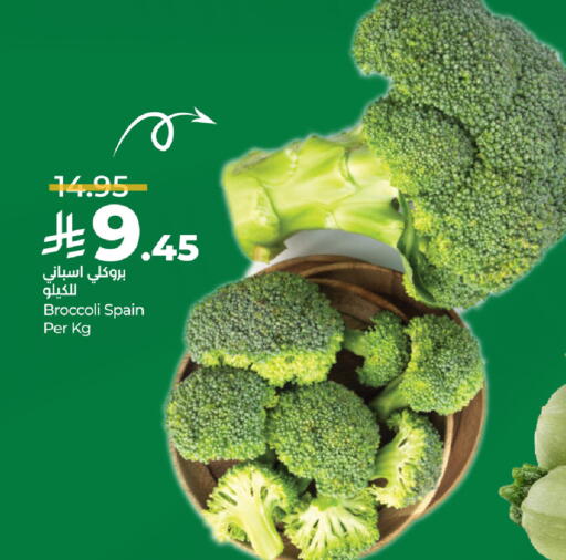 Broccoli from Spain available at لولو هايبرماركت in مملكة العربية السعودية, السعودية, سعودية - الأحساء‎
