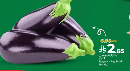 Eggplant from Saudi Arabia available at لولو هايبرماركت in مملكة العربية السعودية, السعودية, سعودية - الأحساء‎