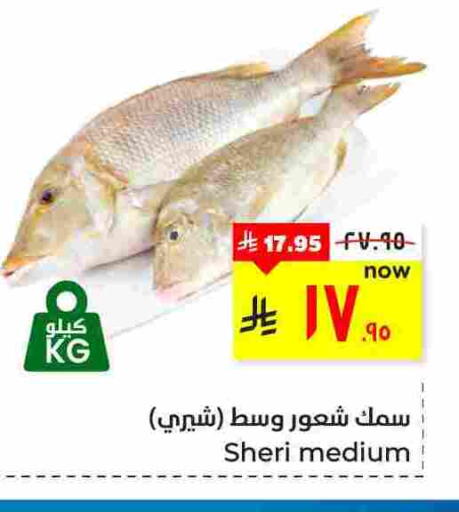 available at هايبر الوفاء in مملكة العربية السعودية, السعودية, سعودية - الأحساء‎