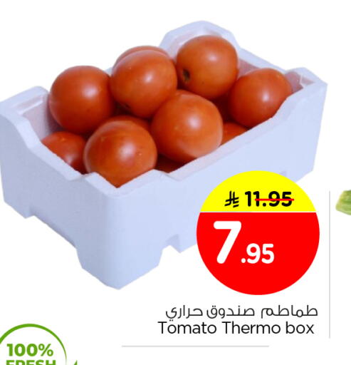 Tomato available at نستو in مملكة العربية السعودية, السعودية, سعودية - الرياض