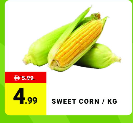 available at مدهور سوبرماركت in الإمارات العربية المتحدة , الامارات - دبي