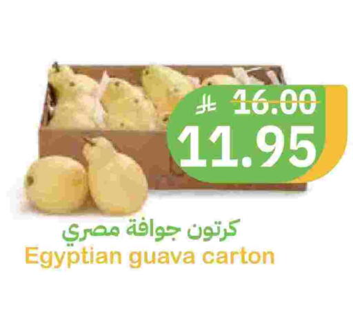 Guava from Egypt available at Qateba Markets in KSA, Saudi Arabia, Saudi - Buraidah